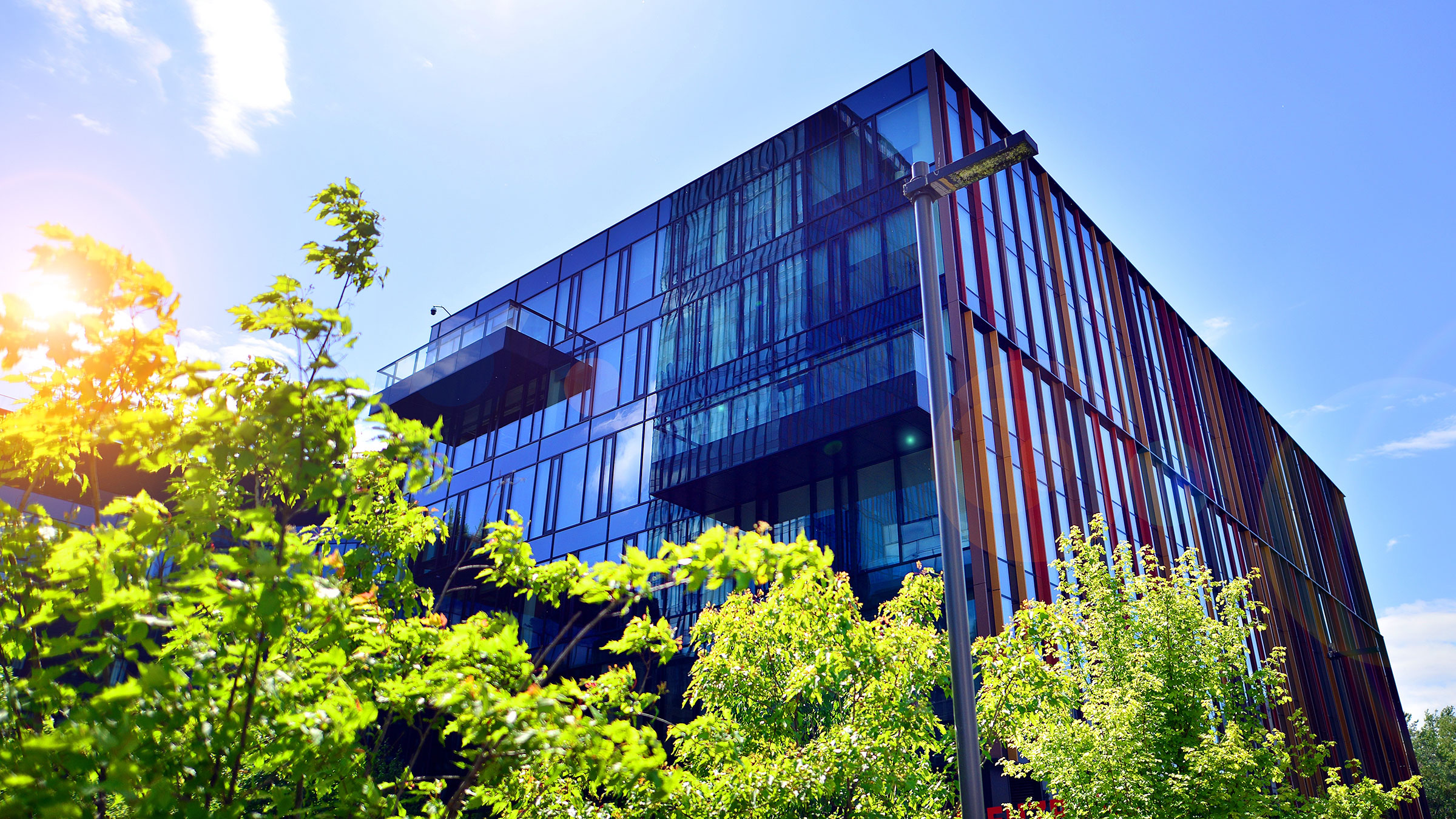 Business transformation consulting services
